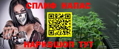 шишки Бузулук