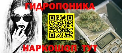 шишки Бузулук