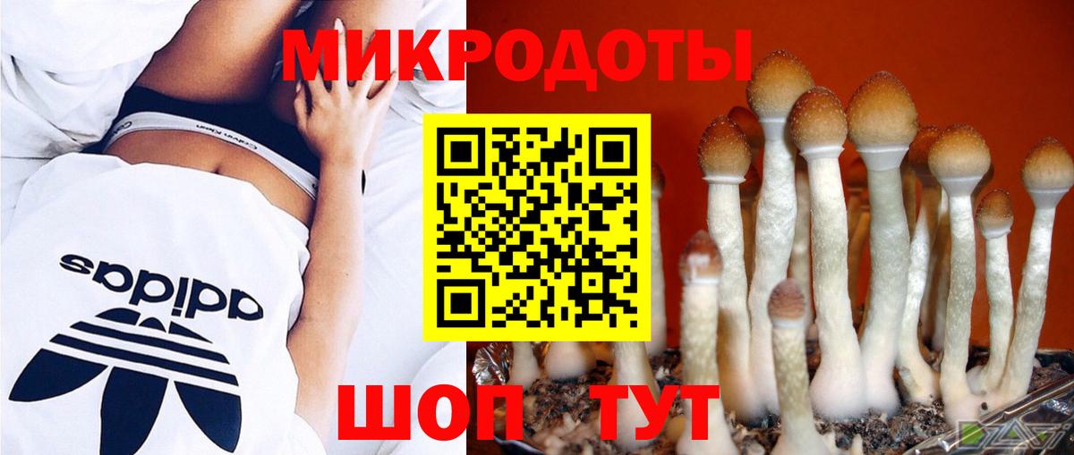 Галлюциногенные грибы GOLDEN TEACHER  Вход с VPN  Петропавловск-Камчатский 